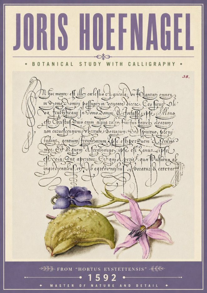 Joris Hoefnagel Botanical Study with Calligraphy I No6 - Plakát