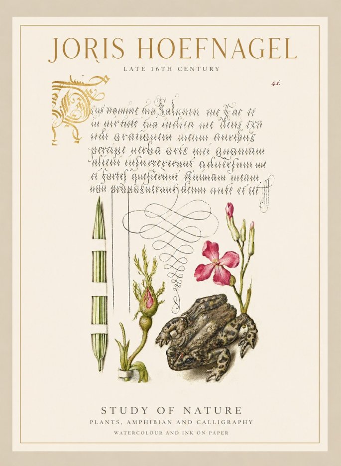 Joris Hoefnagel Study of Nature I No1 - Plakát