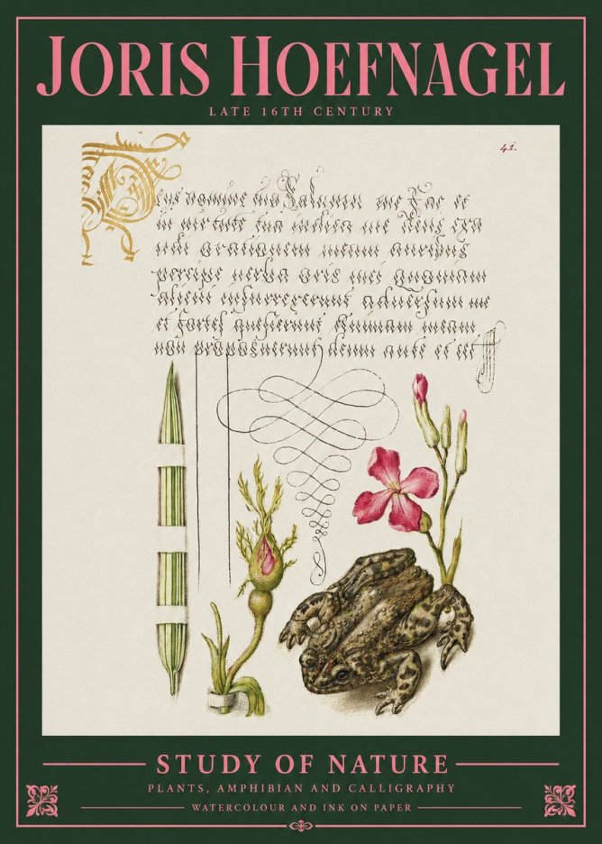 Joris Hoefnagel Study of Nature I No2 - Plakát