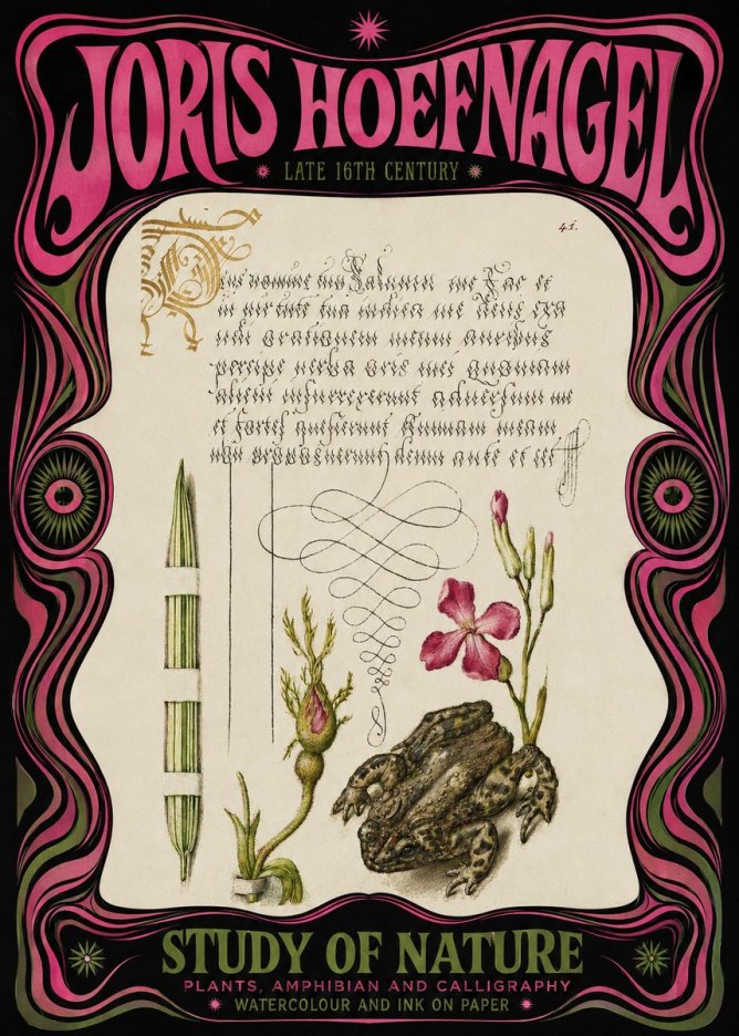 Joris Hoefnagel Study of Nature I No3 - Plakát
