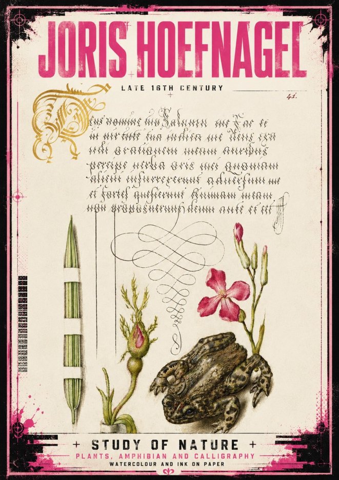 Joris Hoefnagel Study of Nature I No4 - Plakát