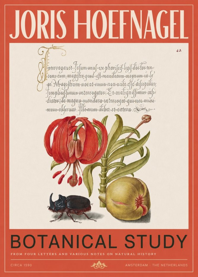 Joris Hoefnagel Botanical Study II No2 - Plakát