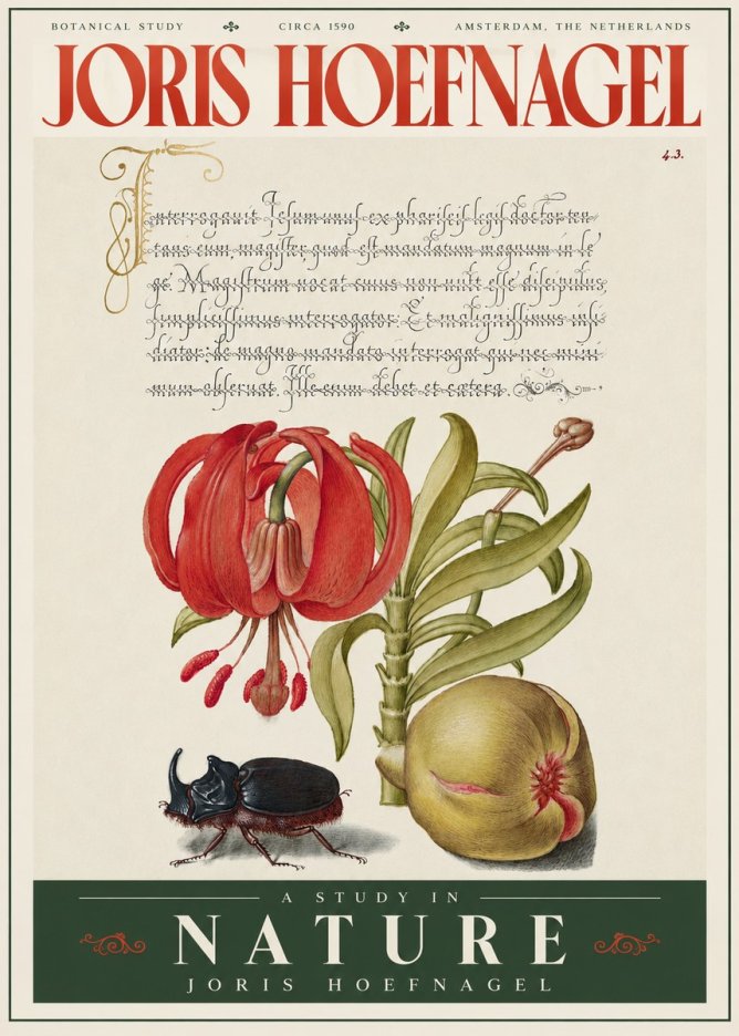 Joris Hoefnagel Botanical Study II No4 - Plakát
