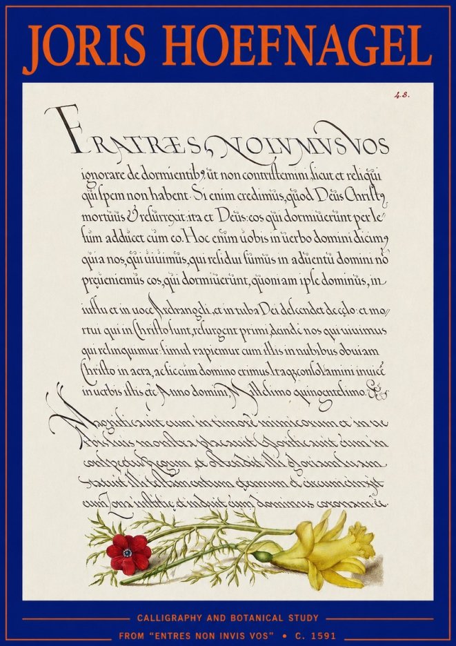 Joris Hoefnagel Calligraphy and Botanical Study I No3 - Plakát
