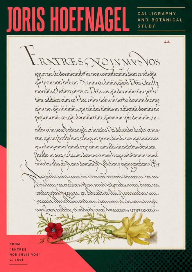 Joris Hoefnagel Calligraphy and Botanical Study I No5 - Plakát