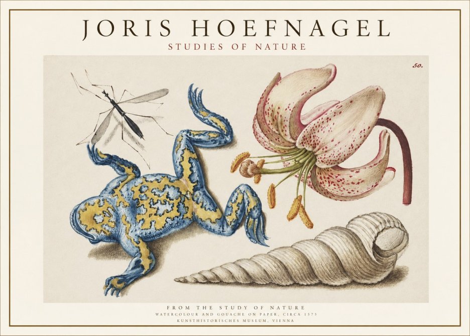 Joris Hoefnagel From the Study of Nature No1 - Plakát