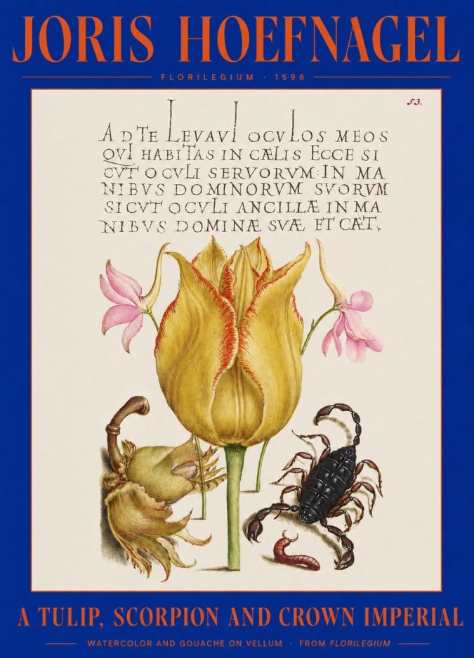 Joris Hoefnagel A Tulip, Scorpion and Crown Imperial No2 - Plakát