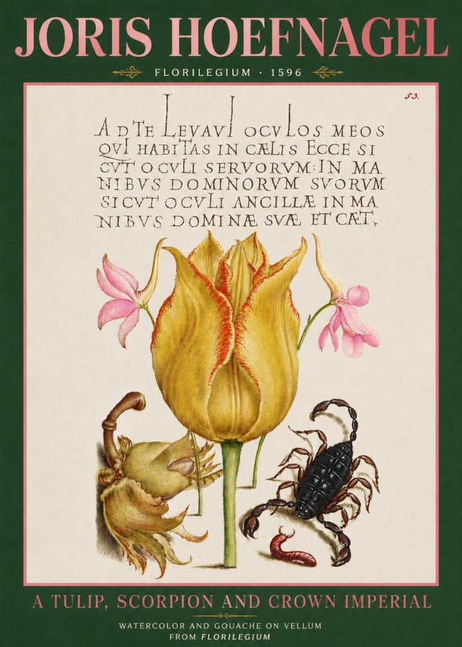 Joris Hoefnagel A Tulip, Scorpion and Crown Imperial No3 - Plakát