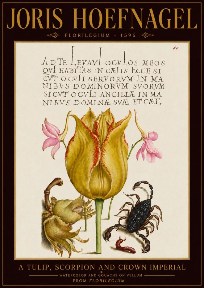 Joris Hoefnagel A Tulip, Scorpion and Crown Imperial No5 - Plakát