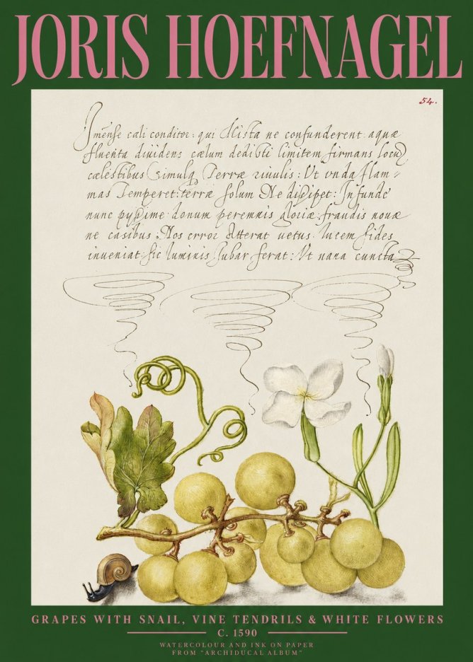 Joris Hoefnagel Grapes with Snail, Vine Tendrils & White Flowers No2 - Plakát