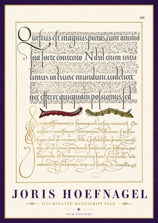 Joris Hoefnagel Illuminated Manuscript Page I No3 - Plakát