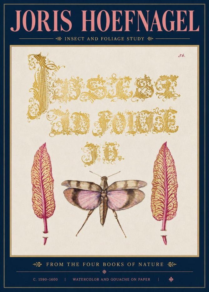 Joris Hoefnagel Insect and Foliage Study No5 - Plakát