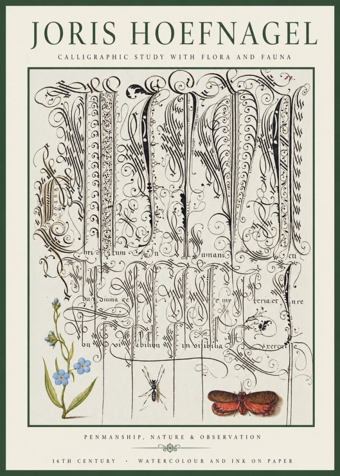 Joris Hoefnagel Calligraphic Study with Flora and Fauna No1 - Plakát