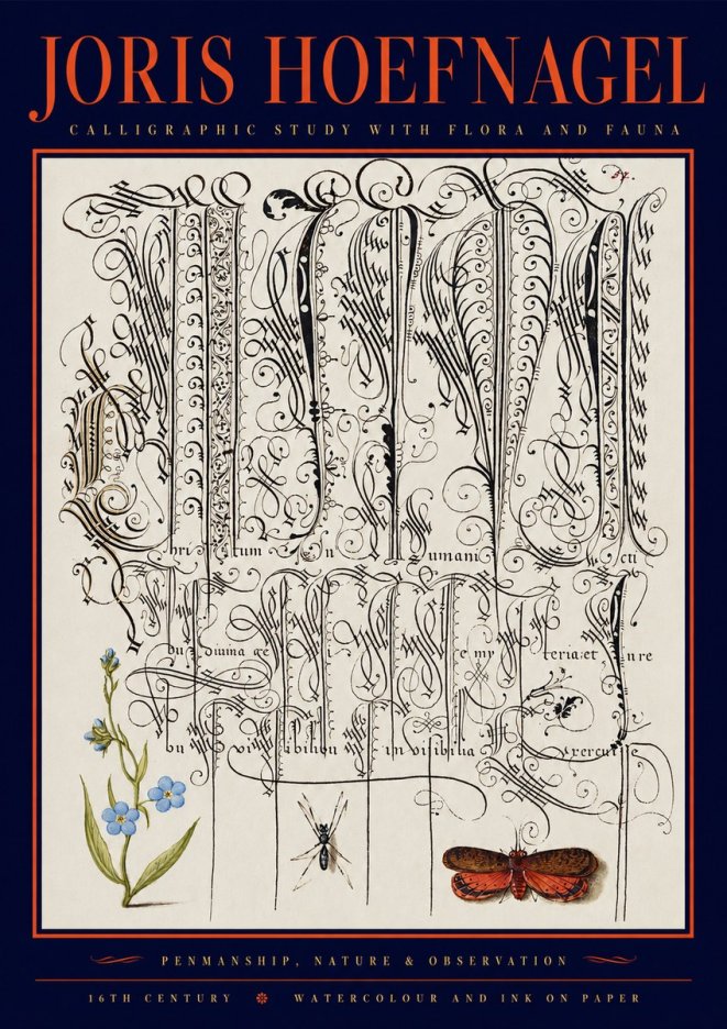 Joris Hoefnagel Calligraphic Study with Flora and Fauna No2 - Plakát