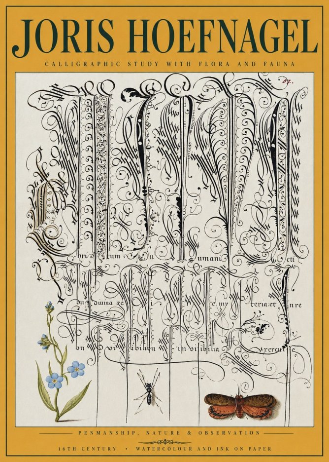Joris Hoefnagel Calligraphic Study with Flora and Fauna No3 - Plakát