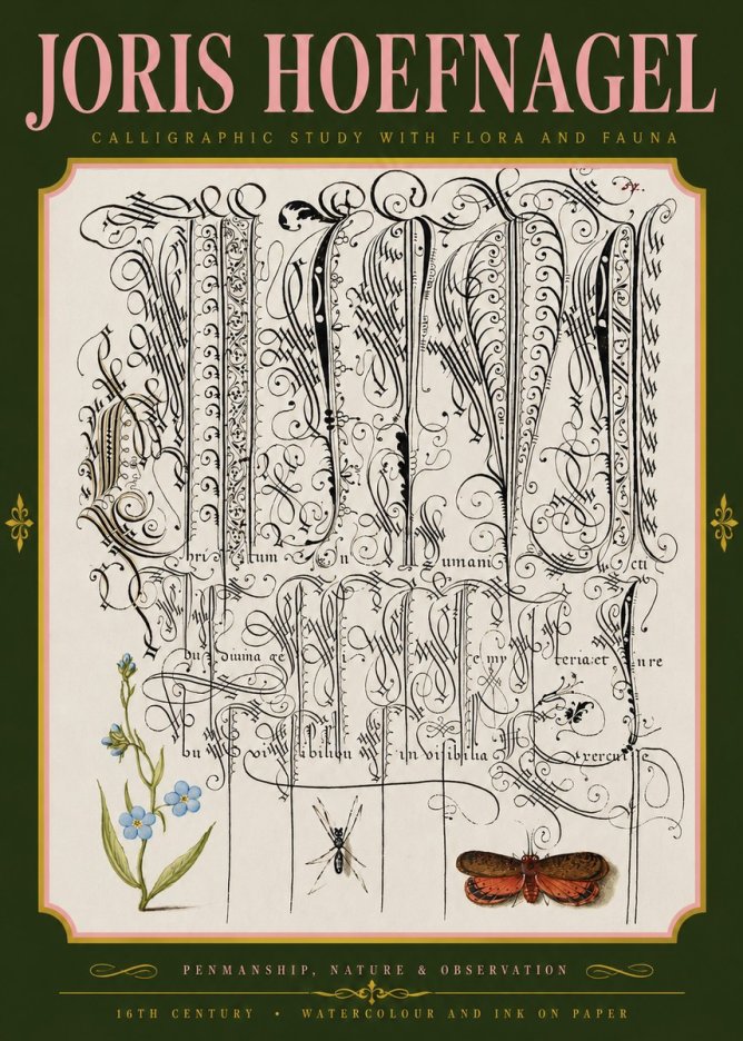 Joris Hoefnagel Calligraphic Study with Flora and Fauna No4 - Plakát