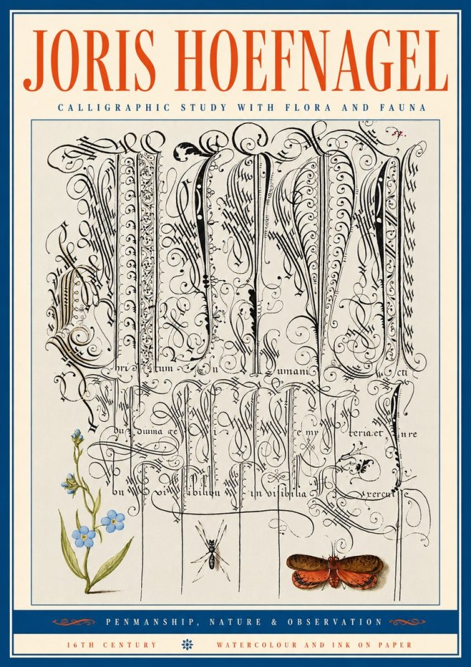 Joris Hoefnagel Calligraphic Study with Flora and Fauna No5 - Plakát