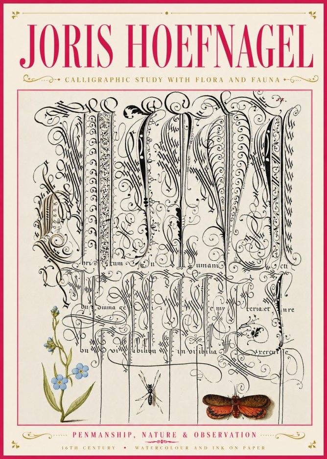 Joris Hoefnagel Calligraphic Study with Flora and Fauna No6 - Plakát