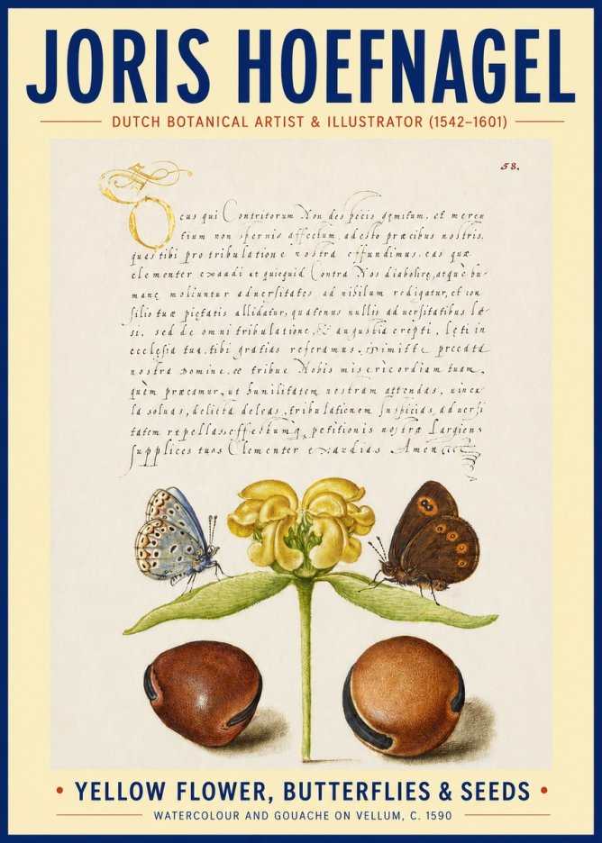 Joris Hoefnagel Yellow Flower, Butterflies & Seeds No3 - Plakát