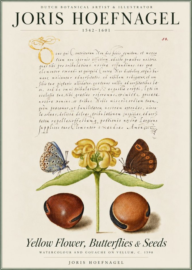 Joris Hoefnagel Yellow Flower, Butterflies & Seeds No4 - Plakát