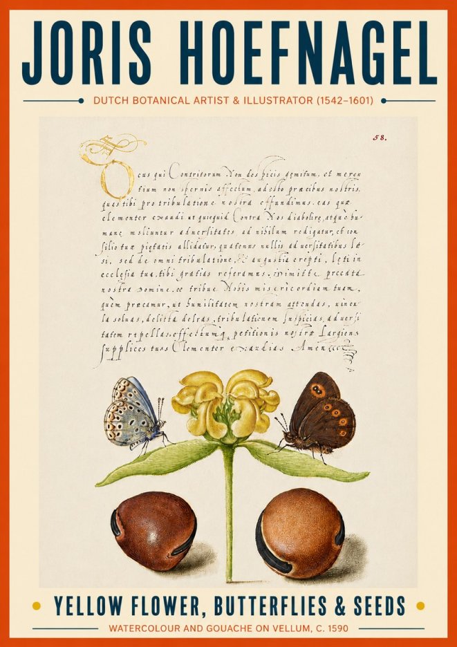 Joris Hoefnagel Yellow Flower, Butterflies & Seeds No6 - Plakát