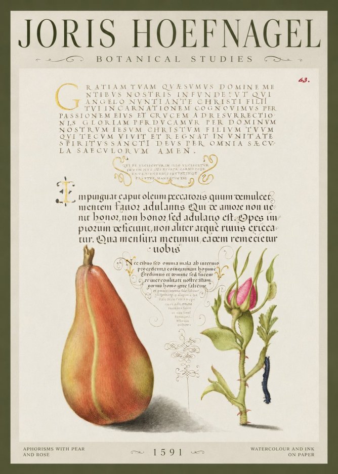 Joris Hoefnagel Aphorisms with Pear and Rose No1 - Plakát
