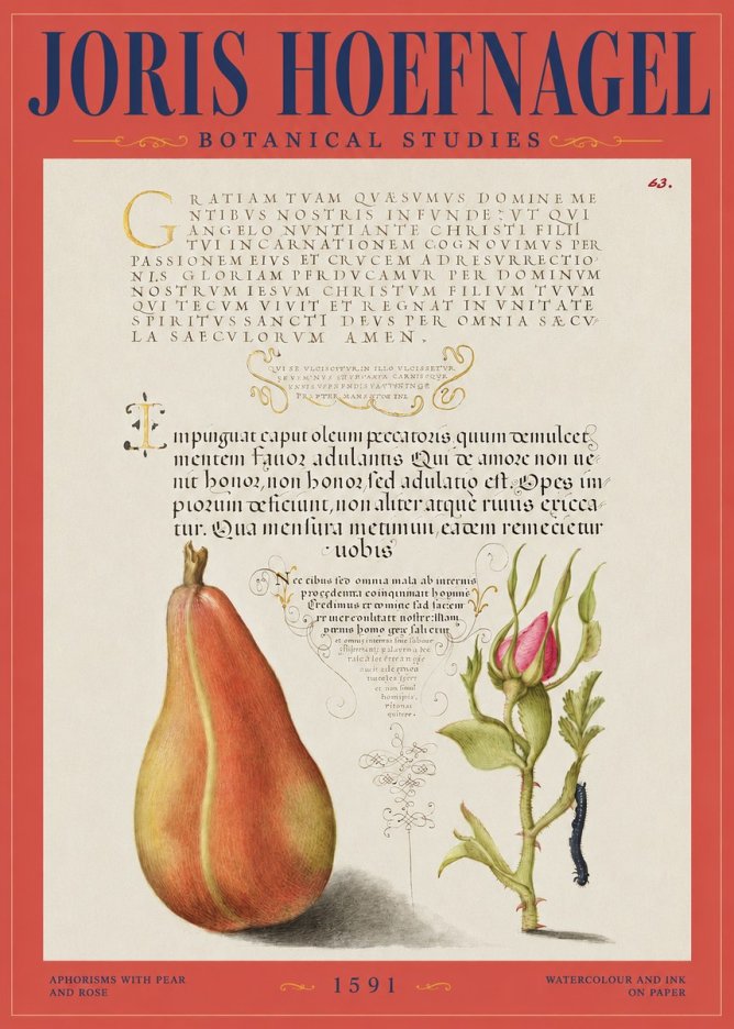 Joris Hoefnagel Aphorisms with Pear and Rose No2 - Plakát