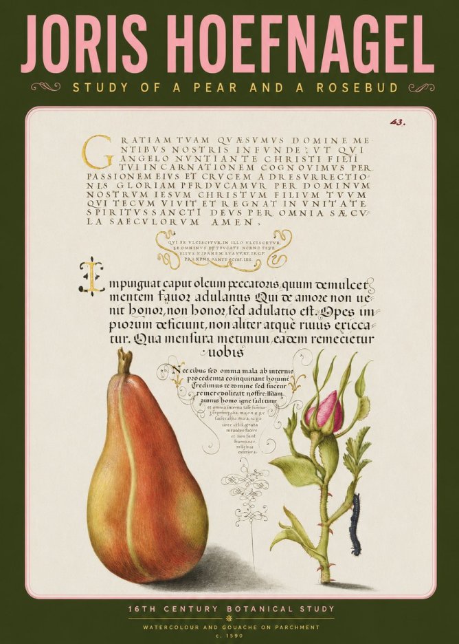 Joris Hoefnagel Aphorisms with Pear and Rose No4 - Plakát