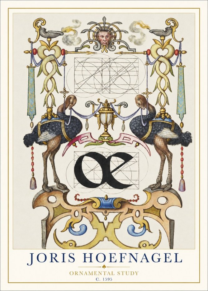 Joris Hoefnagel Ornamental Study I No1 - Plakát