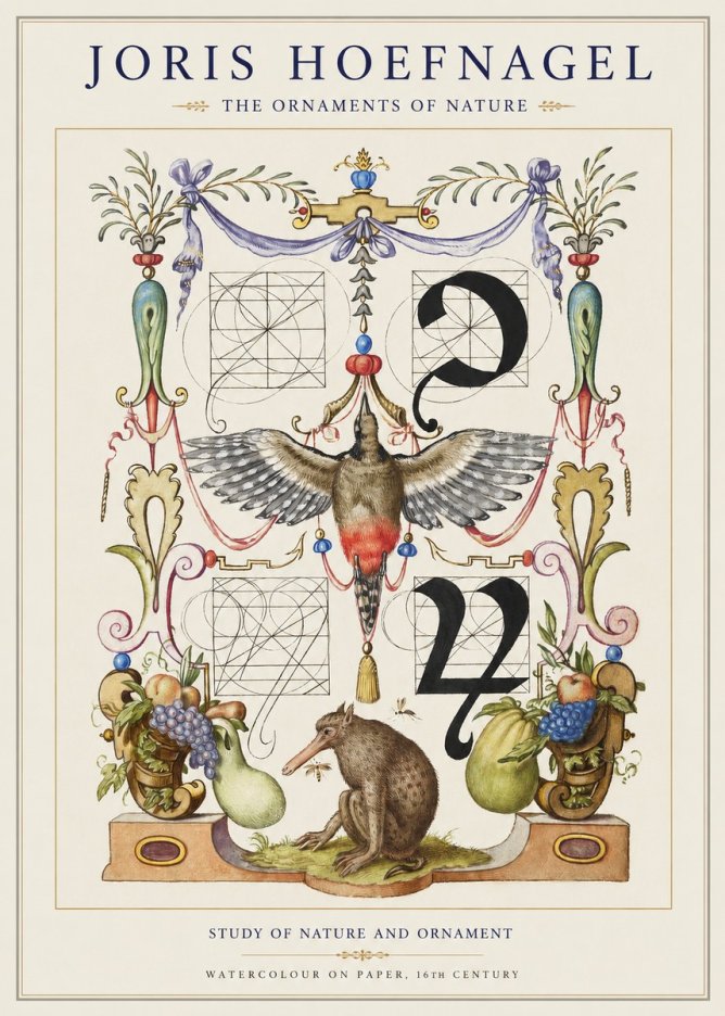 Joris Hoefnagel Study of Nature and Ornament No1 - Plakát