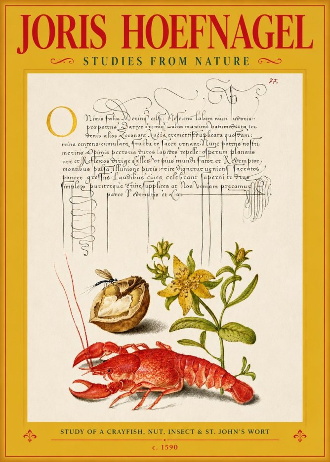 Joris Hoefnagel Studies from Nature No3 - Plakát