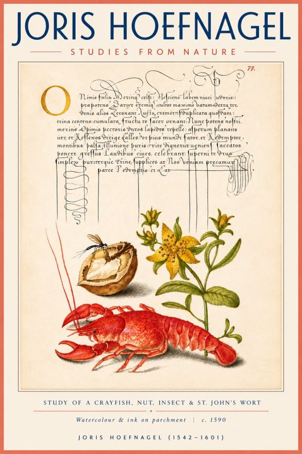 Joris Hoefnagel Studies from Nature No4 - Plakát