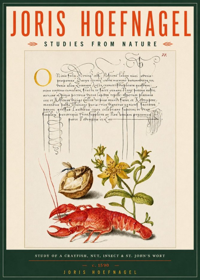 Joris Hoefnagel Studies from Nature No5 - Plakát