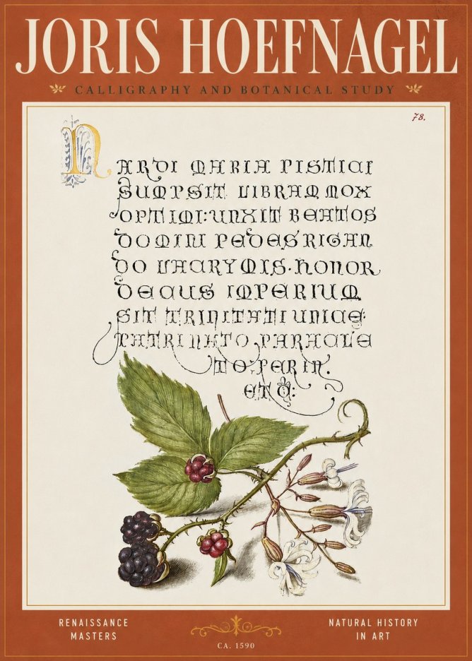 Joris Hoefnagel Calligraphy and Botanical Study II No4 - Plakát