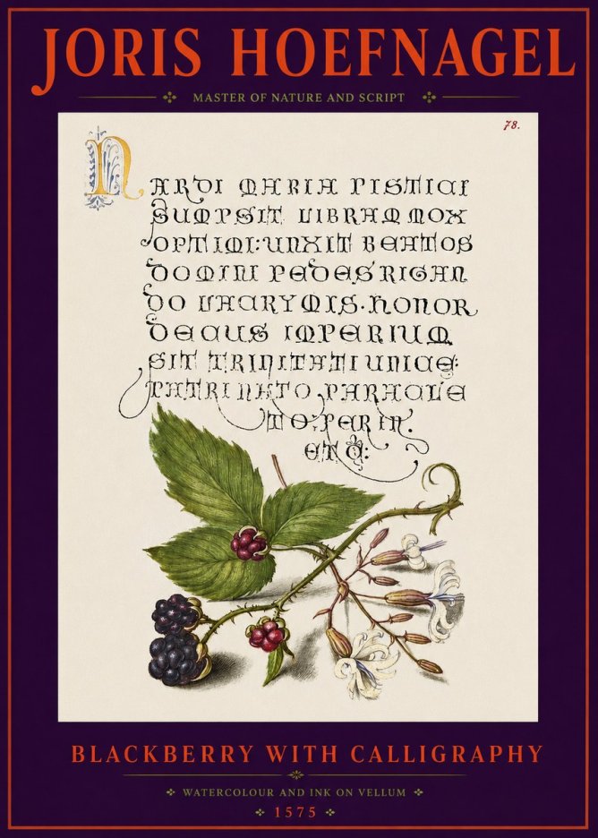Joris Hoefnagel Calligraphy and Botanical Study II No6 - Plakát