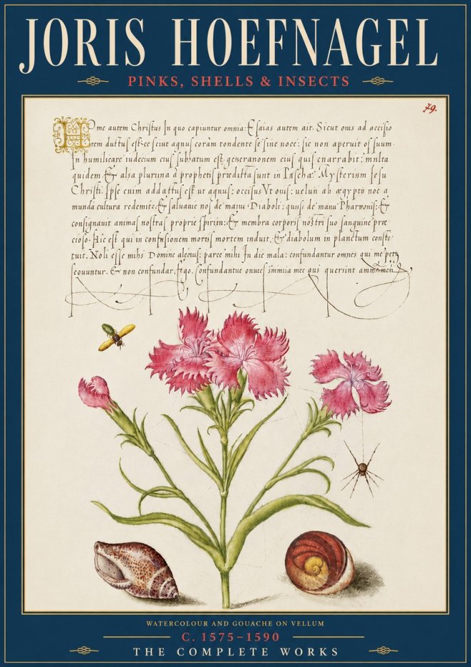Joris Hoefnagel Pinks, Shells & Insects No5 - Plakát