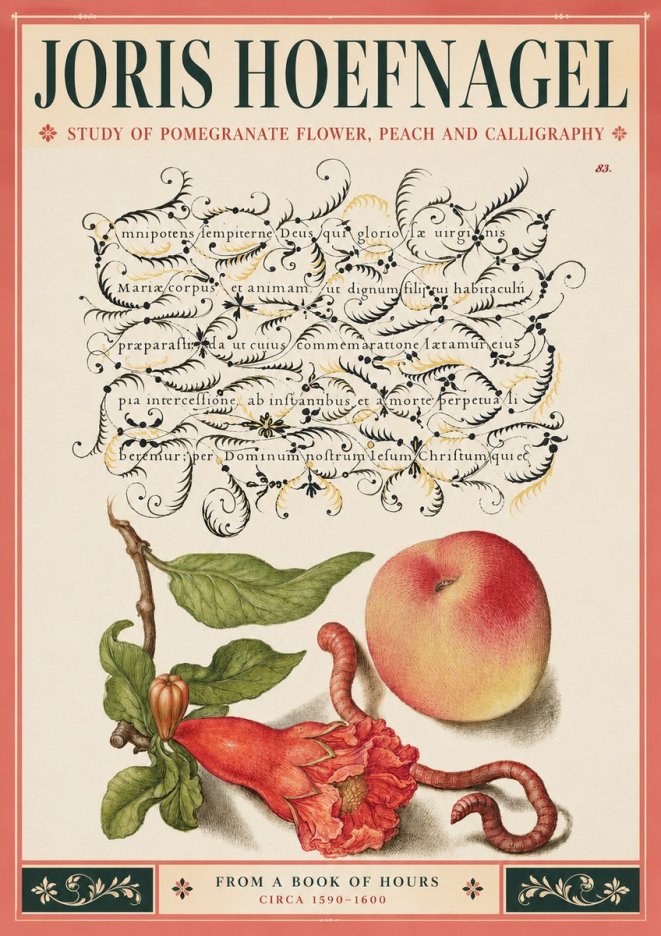Joris Hoefnagel Study of Pomegranate Flower, Peach and Calligraphy from a Book of Hours No3 - Plakát