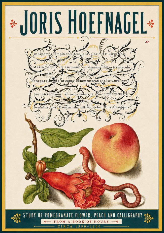 Joris Hoefnagel Study of Pomegranate Flower, Peach and Calligraphy from a Book of Hours No5 - Plakát