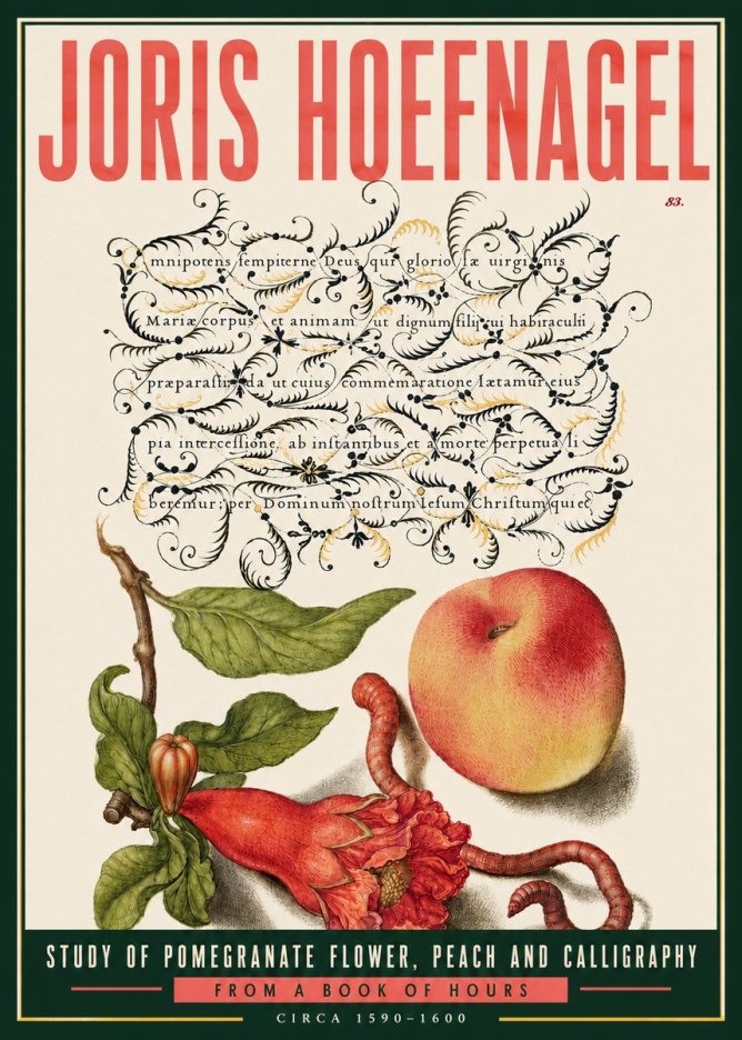 Joris Hoefnagel Study of Pomegranate Flower, Peach and Calligraphy from a Book of Hours No6 - Plakát