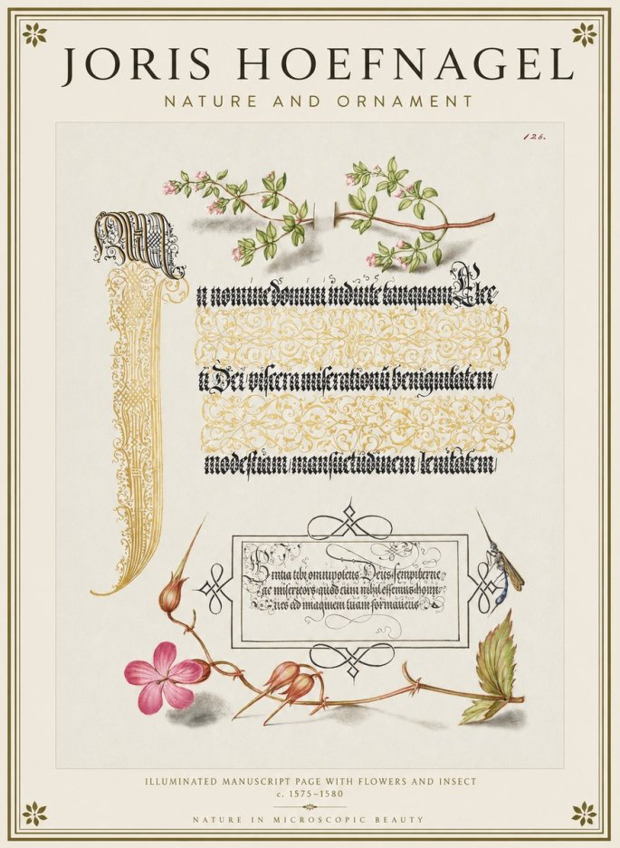Joris Hoefnagel Illuminated Manuscript Page with Flowers and Insect No1 - Plakát