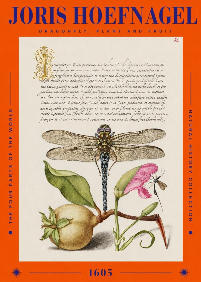 Joris Hoefnagel Dragonfly, Plant and Fruit No2 - Plakát