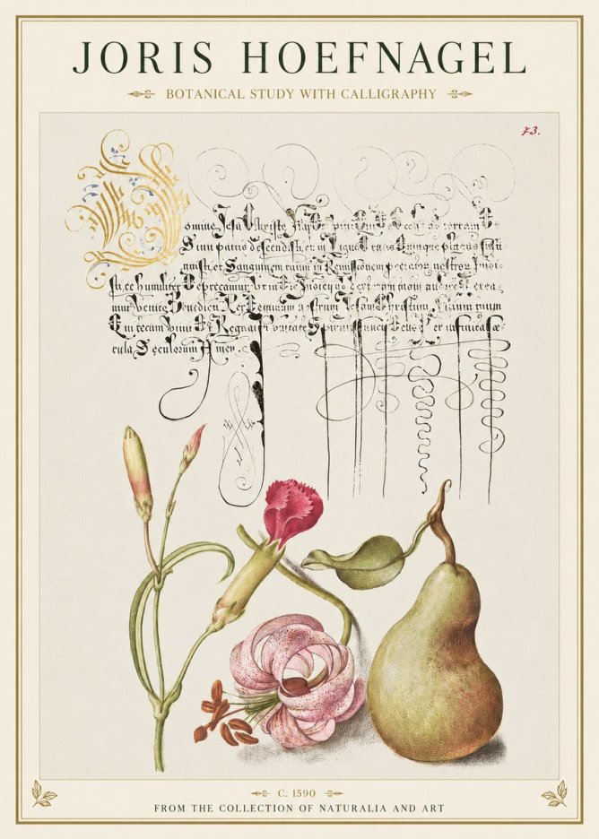 Joris Hoefnagel Botanical Study with Calligraphy II No1 - Plakát