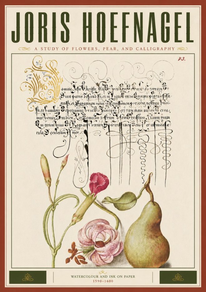 Joris Hoefnagel Botanical Study with Calligraphy II No6 - Plakát