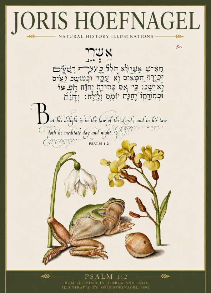 Joris Hoefnagel Psalm 1:2 No5 - Plakát