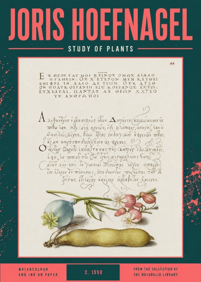 Joris Hoefnagel Study of Plants I No2 - Plakát