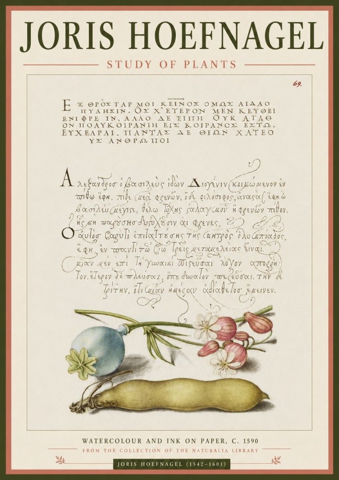 Joris Hoefnagel Study of Plants I No3 - Plakát