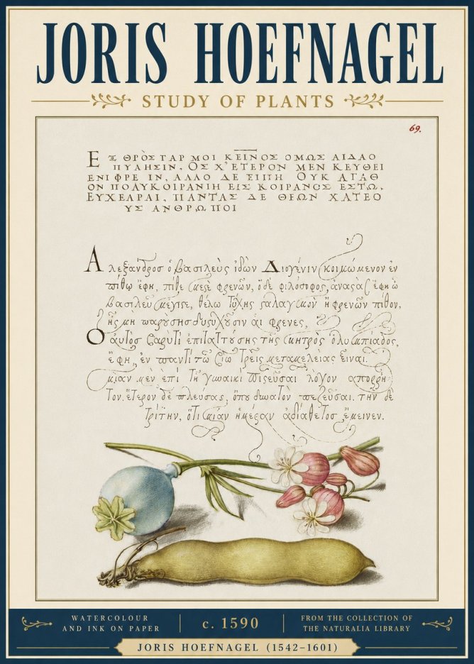 Joris Hoefnagel Study of Plants I No4 - Plakát