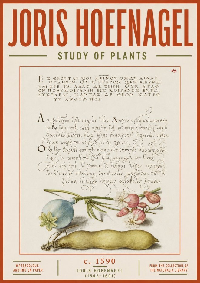 Joris Hoefnagel Study of Plants I No5 - Plakát