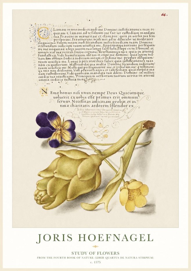 Joris Hoefnagel Botanical Study with Calligraphy III No2 - Plakát