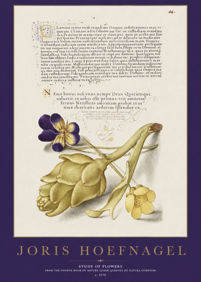 Joris Hoefnagel Botanical Study with Calligraphy III No3 - Plakát